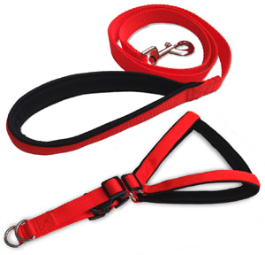 Kanopi Imported Padded Harness and Leash Set 28mm Plain Orange For Large Dogs