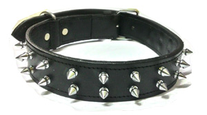 Leather Collar Xlarge with Round Stud